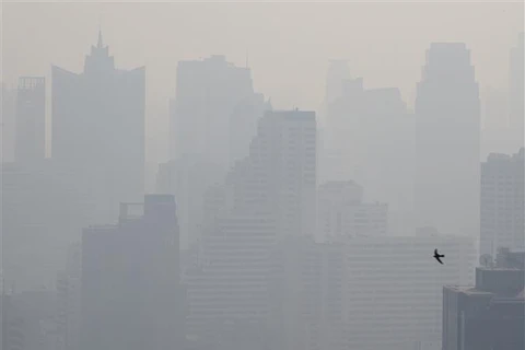 Tailandia se enfrasca en lucha contra polución de aire