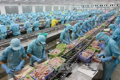 Vietnam invierte en el procesamiento de productos agrícolas