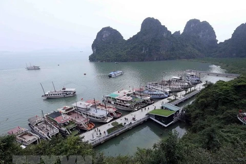 Aclara Vietnam información sobre prohibición a crucero con turistas extranjeros