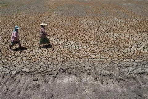 Provee Gobierno de Tailandia ayuda millonaria a agricultores afectados por la sequía