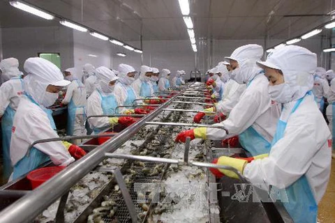 Enfrenta industria camaronera de Vietnam dificultades debido a impacto de COVID-19