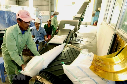 Exportaciones de arroz vietnamita aumentan 27 por ciento en primer bimestre del año
