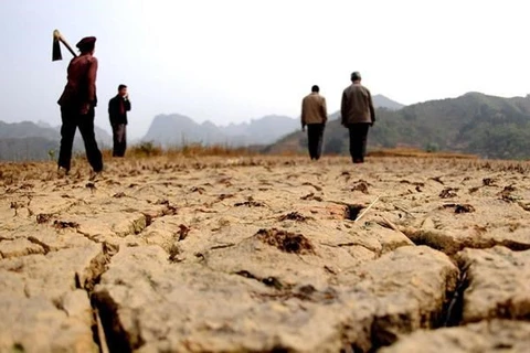 Enfrenta región central de Vietnam alto riesgo de sequía