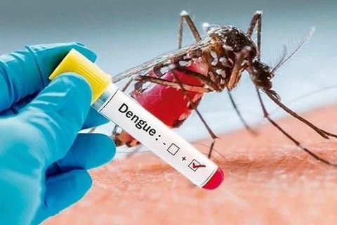 Enfrenta Indonesia brote de dengue