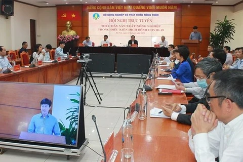 Vietnam aplica medidas para promover producción agrícola 