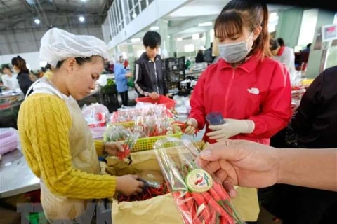Aumentan exportaciones agrícolas de Ciudad Ho Chi Minh en primer trimestre de 2020