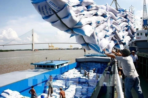 Premier de Vietnam ordena suspender firma de contratos de exportación de arroz