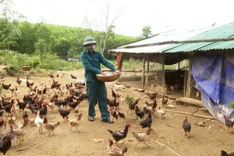 Provincia vietnamita declara fin de epidemia de gripe aviar A/H5N6