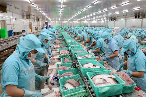 Sector acuícola de Vietnam enfrenta dificultades por COVID-19