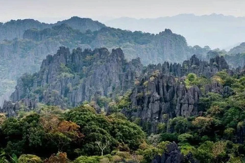 Vietnam apoya a Laos para lograr reconocimiento de reserva natural como Patrimonio de la Humanidad