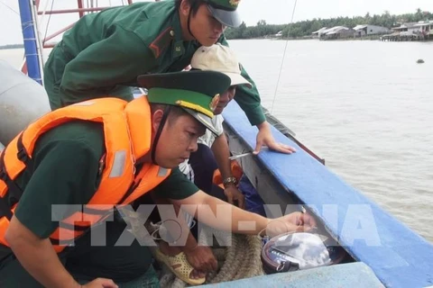Provincia vietnamita prohíbe faena de barcos pesqueros sin equipo de monitoreo