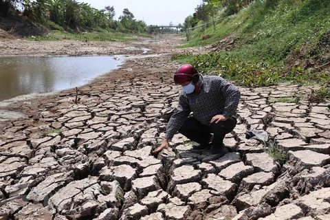 Proponen en Vietnam paquete de ayuda para tratar la salinidad y sequía 