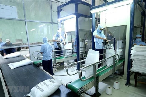 Facilita Vietnam tramitación aduanera para el arroz exportable