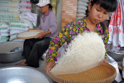 Ventas de arroz de Camboya registran fuerte aumento en primer cuatrimestre de 2020