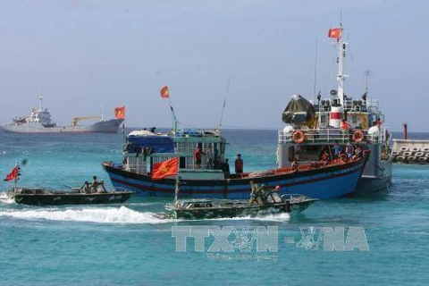 Sociedad vietnamita de Pesca se opone a reglamentación china sobre veda en Mar del Este