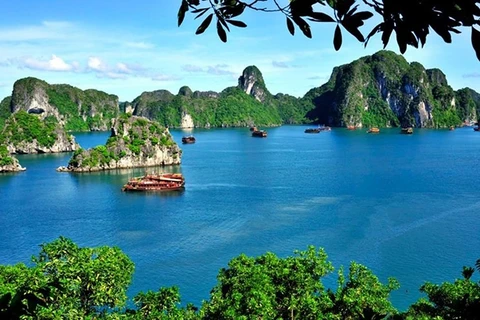 Vietnam celebrará la Semana de Turismo de Ha Long - Quang Ninh