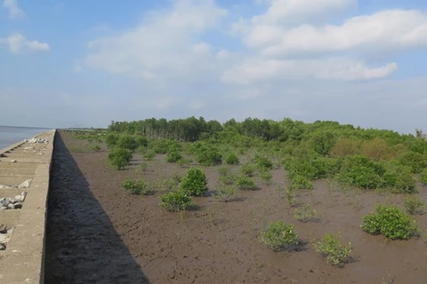 UE y Francia respaldan a Vietnam en lucha contra el cambio climático y COVID-19