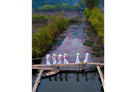 Gana fotógrafo vietnamita el concurso Agora Awards 2020