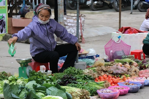 Provincia vietnamita de Vinh Phuc ofrece asistencia a pobladores afectados por el COVID-19