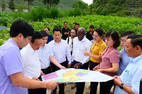 Establecen provincia vietnamita y Banco Mundial cooperación estratégica en 2020-2025