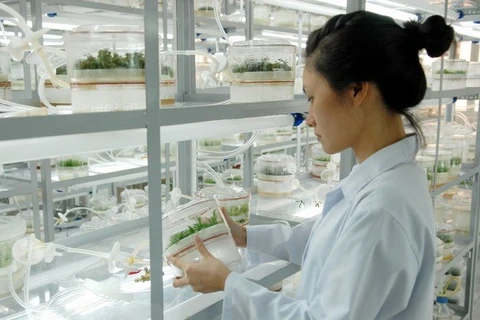 Emite Vietnam plan de desarrollo de ciencia y tecnología para impulsar la economía