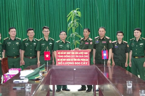 Provincia vietnamita entrega plántulas frutales a Laos