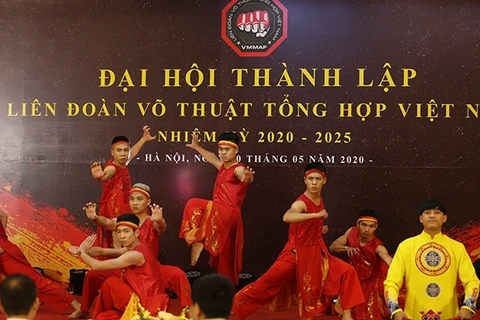 Celebran Congreso de la Federación de Artes Marciales Mixtas de Vietnam