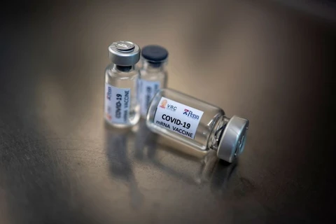 Tailandia realiza en macacos pruebas de vacuna ARNm contra el COVID-19