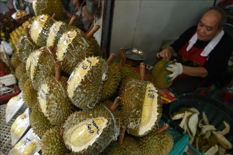 Tailandia desarrolla cajas a prueba de olores para almacenar durián