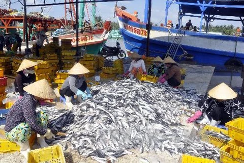 Crece producción pesquera de Vietnam en primera mitad de 2020