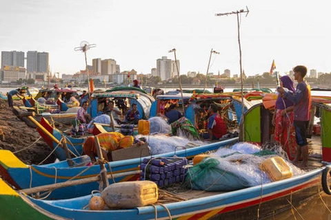 Reducción del nivel hídrico en Camboya afecta a población de peces 