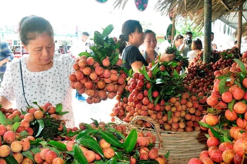 Cadena de producción y consumo de productos agrícolas en Hanoi