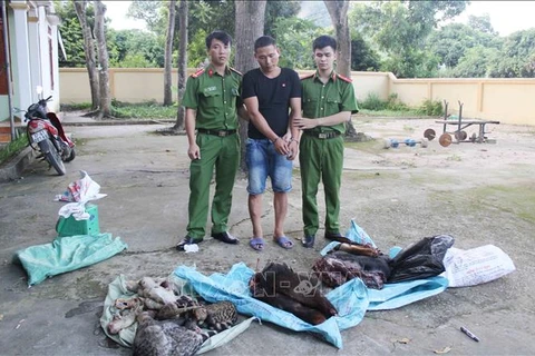 Detectan en Vietnam caso de transportación ilegal de animales silvestres