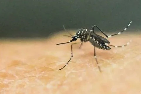 Laos reporta más de dos mil casos y cinco muertes por dengue