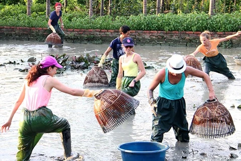 Provincia vietnamita de Quang Ninh apunta a desarrollar el turismo comunitario