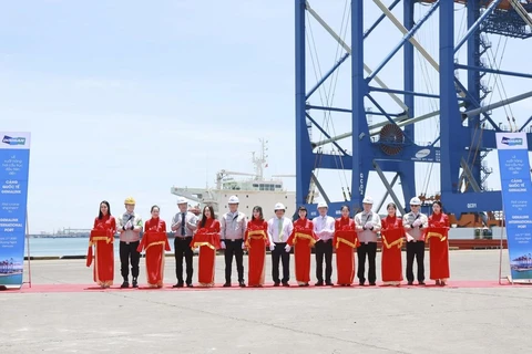Doosan Vina entrega dos gigantescas grúas a puerto internacional de Gemalink