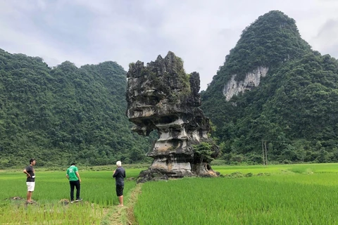 Aprecia UNESCO esfuerzos de Vietnam por preservar geoparque global Non Nuoc Cao Bang 