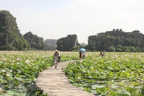 Vietnam busca intensificar medidas para promover el turismo doméstico