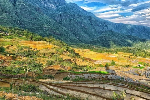 Desarrollan turismo urbano con identidad cultural en provincia de Lao Cai