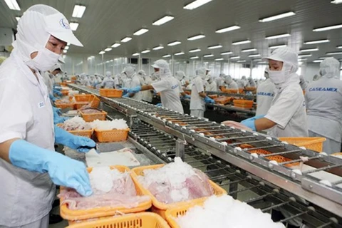 Aumenta la exportación de calamares y pulpos de Vietnam