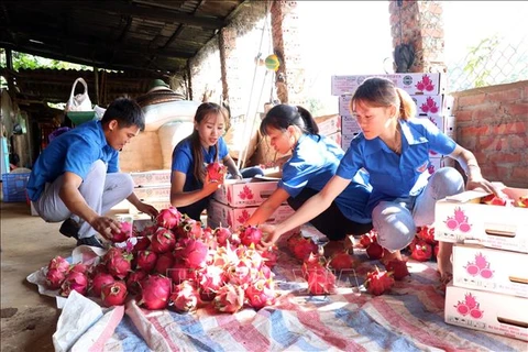 Apoyan acceso de empresas agropecuarias vietnamitas al mercado europeo