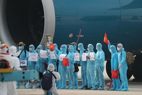 Vietnam Airlines, las alas de la solidaridad y el tesón contra la “tormenta” del COVID-19