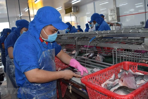 EVFTA ofrece oportunidades para productos acuáticos vietnamitas