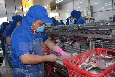Aumentan exportaciones vietnamitas de mariscos a la UE