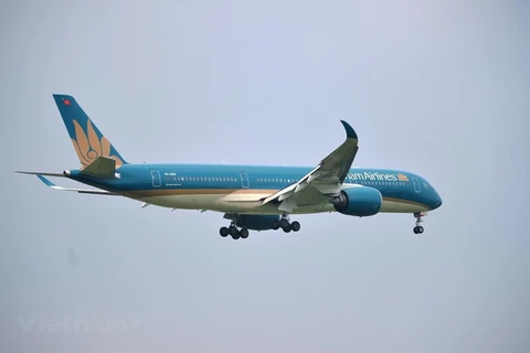 Vietnam Airlines abre la venta de boletos para el periodo del Año Nuevo Lunar 2021