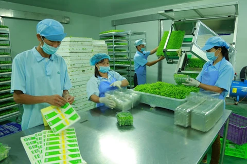 Provincia vietnamita de Vinh Phuc impulsa desarrollo de industria de procesamiento