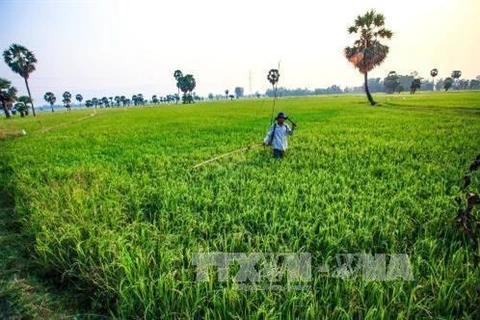 Hanoi impulsa el desarrollo cadena de producción y consumo de productos 