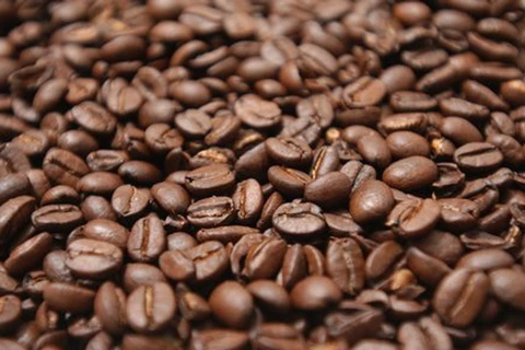 Indonesia ambiciona convertirse en segundo mayor productor de café en el mundo 
