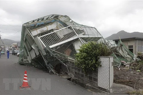 Trabaja Vietnam para proteger sus ciudadanos en Japón ante impactos de tifón Haishen