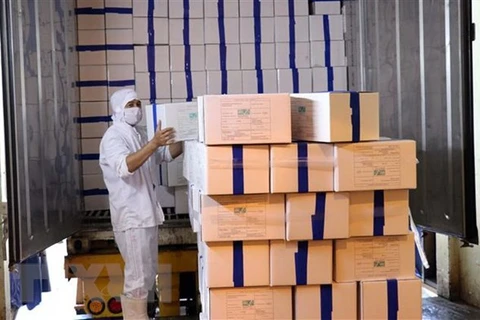 Vietnam exporta primer lote de camarones a la Unión Europea bajo EVFTA